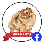 Sponsor Lola Tursunova